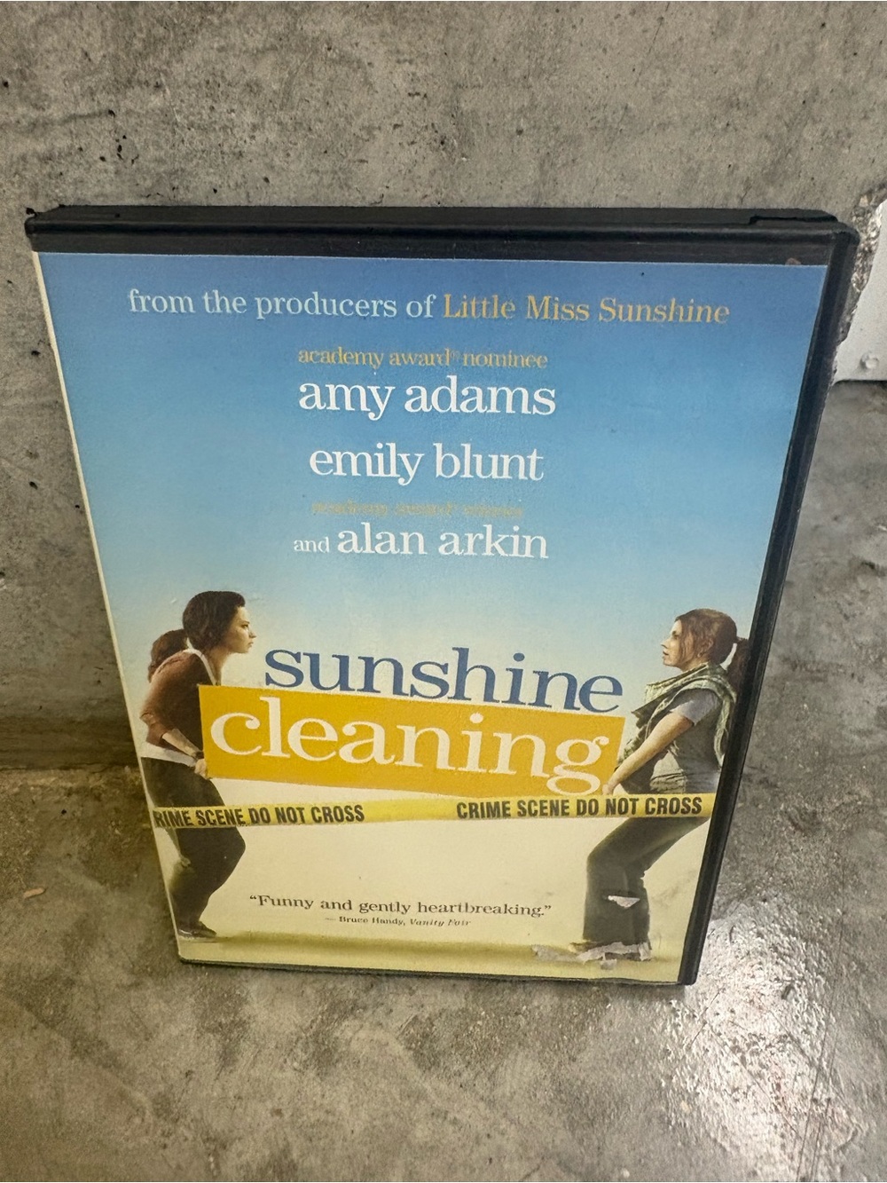 Sunshine Cleaning on DVD